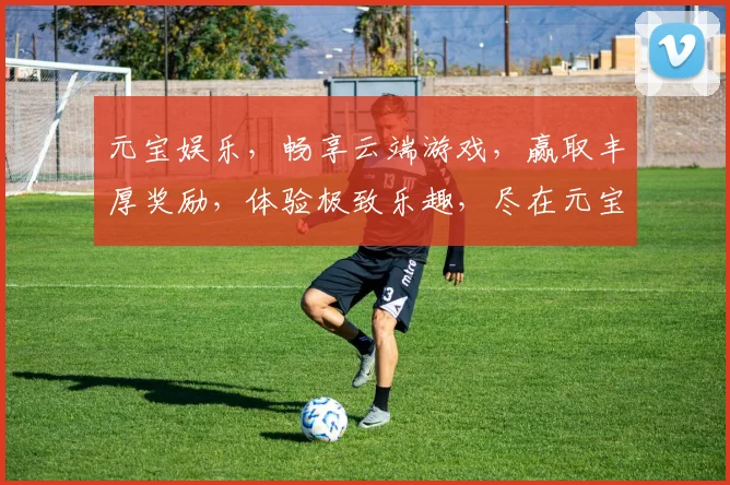 元宝娱乐，畅享云端游戏，赢取丰厚奖励，体验极致乐趣，尽在元宝娱乐平台